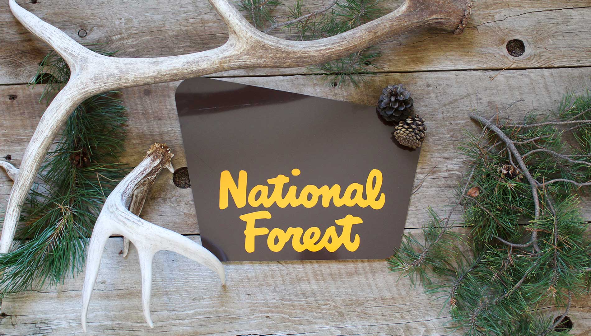 custom national forest sign with a brown background and yellow text that says 'national forest' with pine needles and antlers around the sign