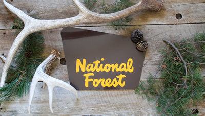 custom national forest sign with a brown background and yellow text that says 'national forest' with pine needles and antlers around the sign