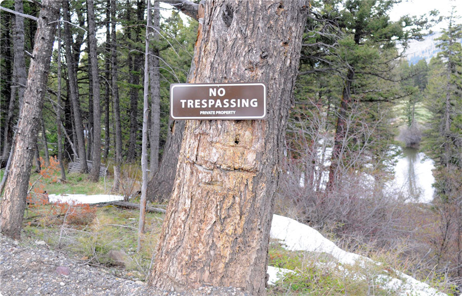 metal sign with white text saying 'no trespassing private property' with a brown background hung up on a tree in the distance