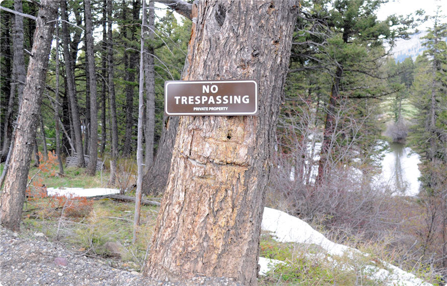 metal sign with white text saying 'no trespassing private property' with a brown background hung up on a tree