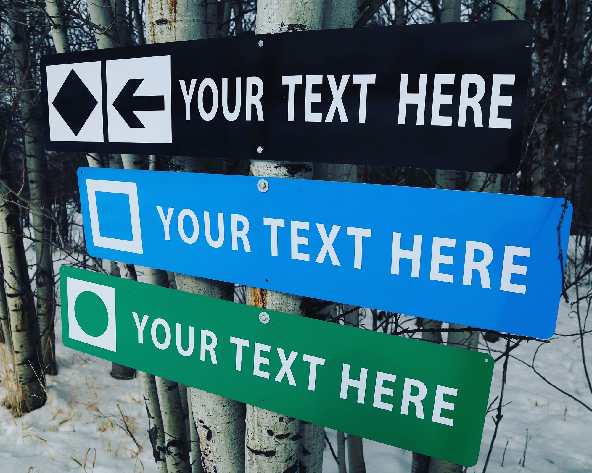 Personalized Ski Trail Sign - Double Black Diamond
